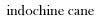 2-indochine_cane